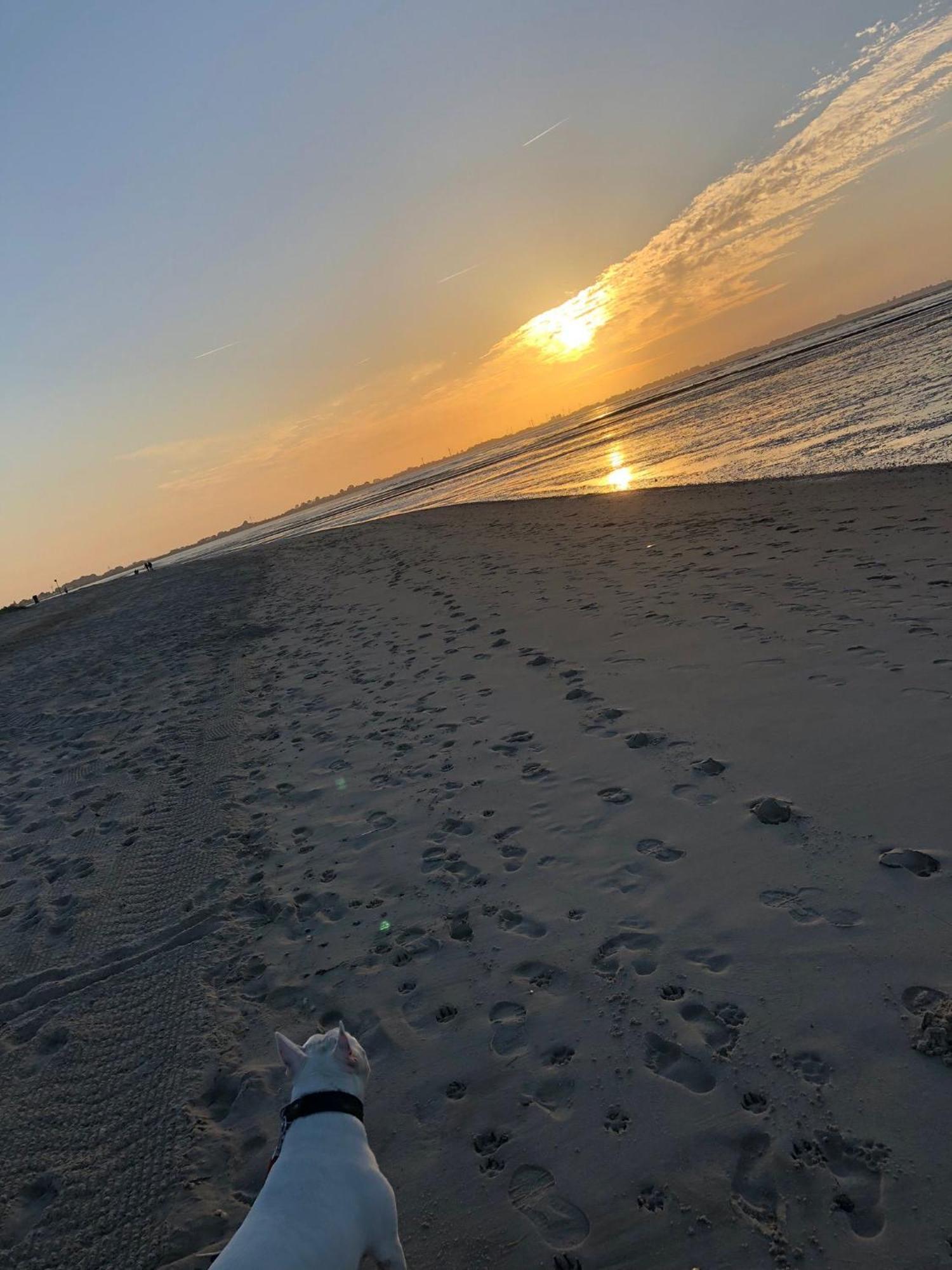 Strandhaus Nina - Ferienhaus โฮคซีล ภายนอก รูปภาพ
